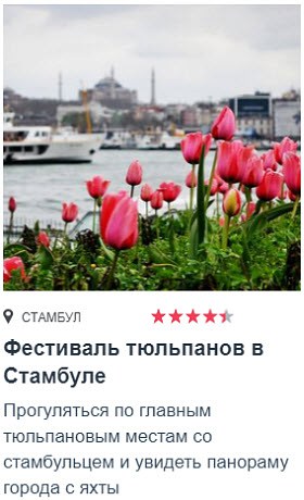 Экскурсии от Tripster Фестиваль тюльпанов в Стамбуле