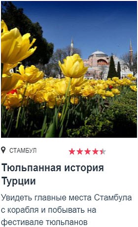 Экскурсии от Tripster Фестиваль тюльпанов в Стамбуле