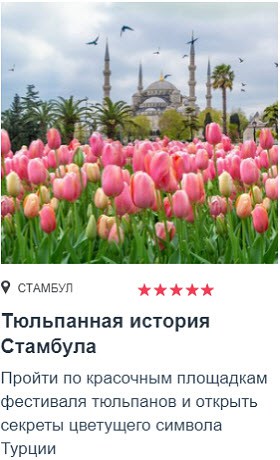 Экскурсии от Tripster Фестиваль тюльпанов в Стамбуле
