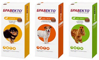 Бравекто в Турции - где и как купить ветпрепарат? 