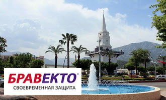 Где туристу можно купить Бравекто в Кемере? 