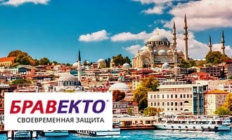 Где туристу можно купить Бравекто в Стамбуле? 