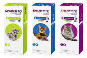 Фото Где купить Bravekto в Кемере в Турции 